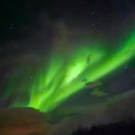 Lund - Exellent Apartment Tromsø Exteriör bild